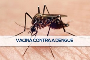 Foto vacina contra a dengue 1